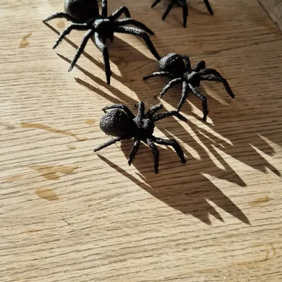 Nhện thực tế dễ dàng in ấn cho mùa Halloween