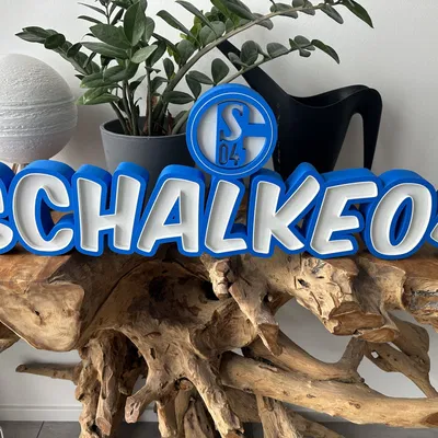 Đèn LED Schalke04 với chữ ký và logo S04