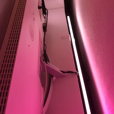 Giá đỡ đèn Philips Hue Gradient cho kệ Ikea Kallax