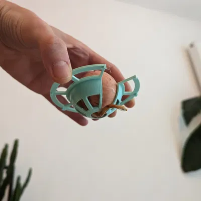 Giá đỡ hạt bơ cho cây bơ sinh trưởng