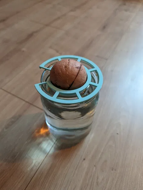 Giá đỡ hạt bơ cho cây bơ sinh trưởng - Image 6