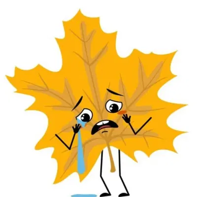 Lá phong khóc với sắc thái cảm xúc độc đáo