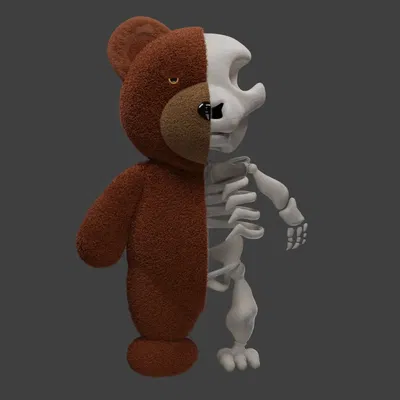 Gấu bông nửa bộ xương độc đáo