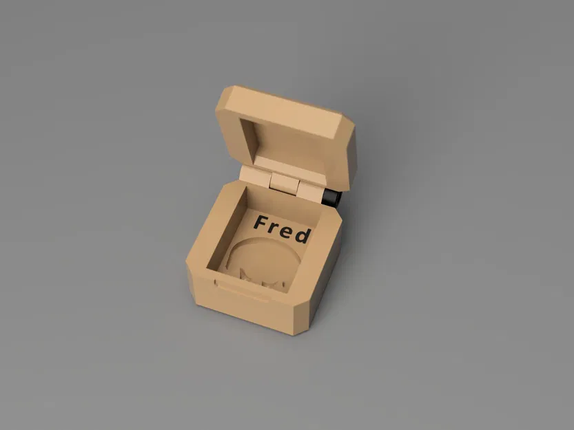 Hộp bảo vệ cho ếch Fred với nam châm - Image 1