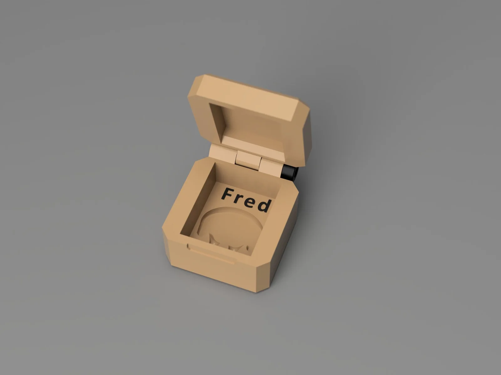 Hộp bảo vệ cho ếch Fred với nam châm 1