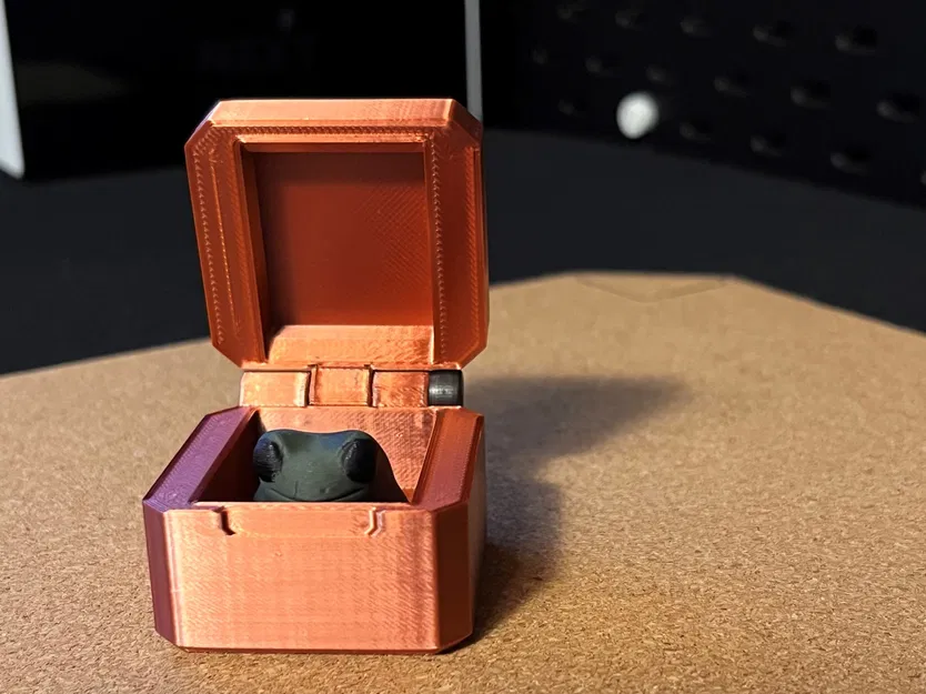 Hộp bảo vệ cho ếch Fred với nam châm - Image 4