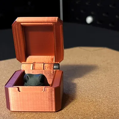 Hộp bảo vệ cho ếch Fred với nam châm