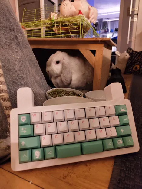 Vỏ bàn phím Bnuuy cho PCB QAZ dễ in và dễ lắp ráp - Image 1