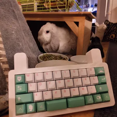 Vỏ bàn phím Bnuuy cho PCB QAZ dễ in và dễ lắp ráp