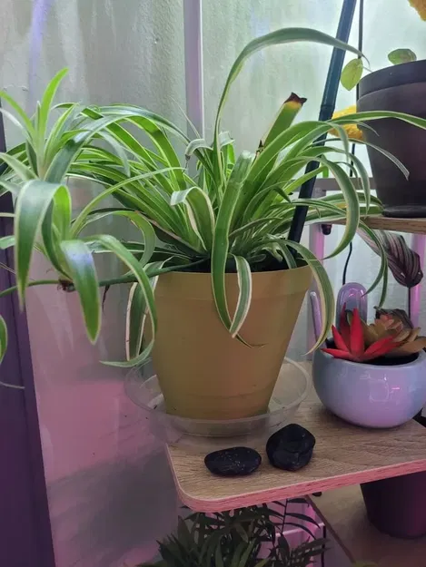 Chậu cây có thể tùy chỉnh cho vườn ươm - Image 1