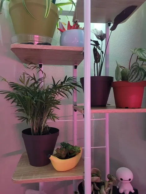 Chậu cây có thể tùy chỉnh cho vườn ươm - Image 3