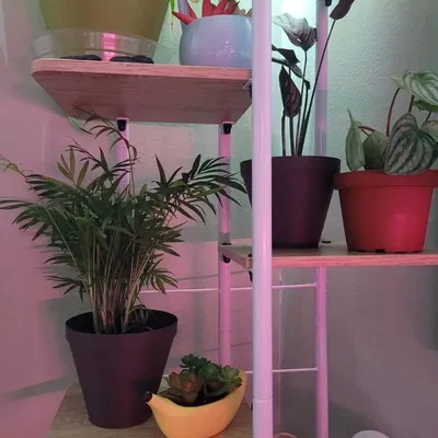 Chậu cây có thể tùy chỉnh cho vườn ươm