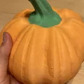 Quả bí ngô hữu cơ sắc nét cho mùa Halloween - Thumbnail 1