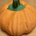 Quả bí ngô hữu cơ sắc nét cho mùa Halloween - Thumbnail 3
