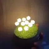 Đèn trang trí hoa tulip rỗng cho ánh sáng nhỏ