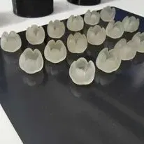 Đèn trang trí hoa tulip rỗng cho ánh sáng nhỏ