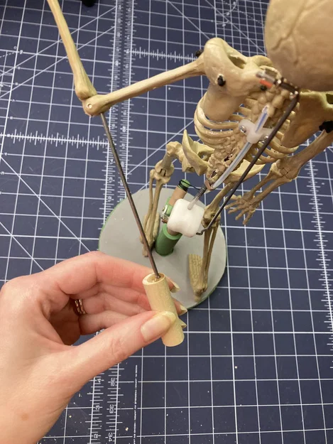 Bộ kích hoạt và giá đỡ cho rối xương - Image 2