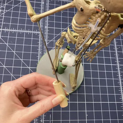 Bộ kích hoạt và giá đỡ cho rối xương