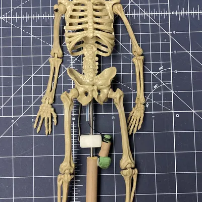 Bộ kích hoạt và giá đỡ cho rối xương