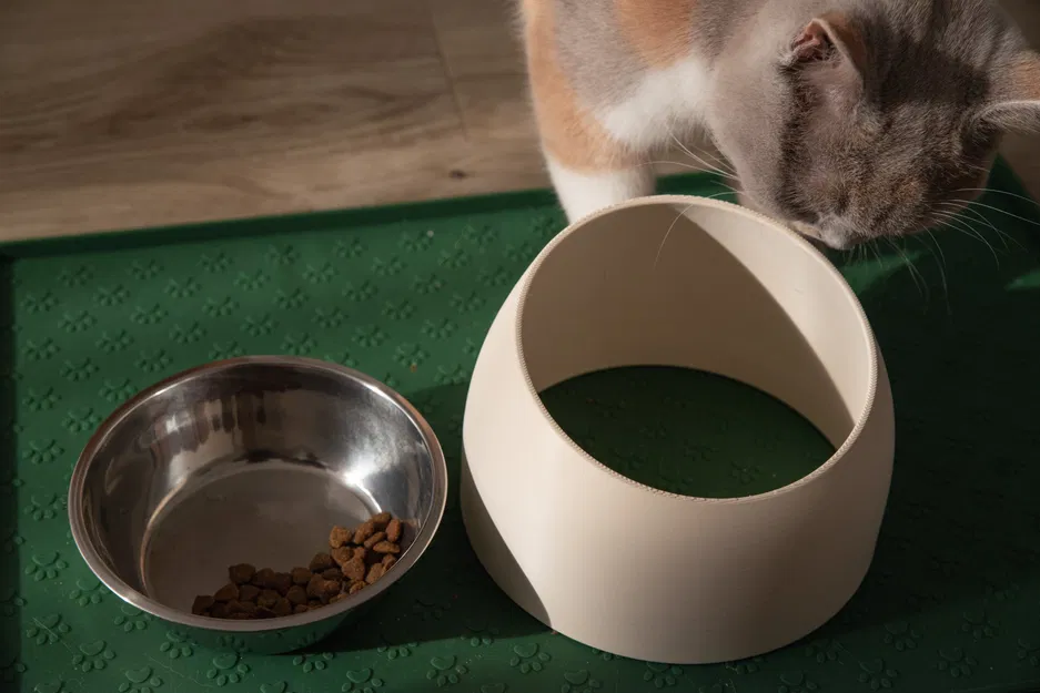 Chân Đế Tô Thức Ăn Cho Mèo Tối Giản, Công Thái Học - Image 3