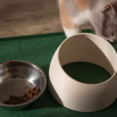 Chân Đế Tô Thức Ăn Cho Mèo Tối Giản, Công Thái Học