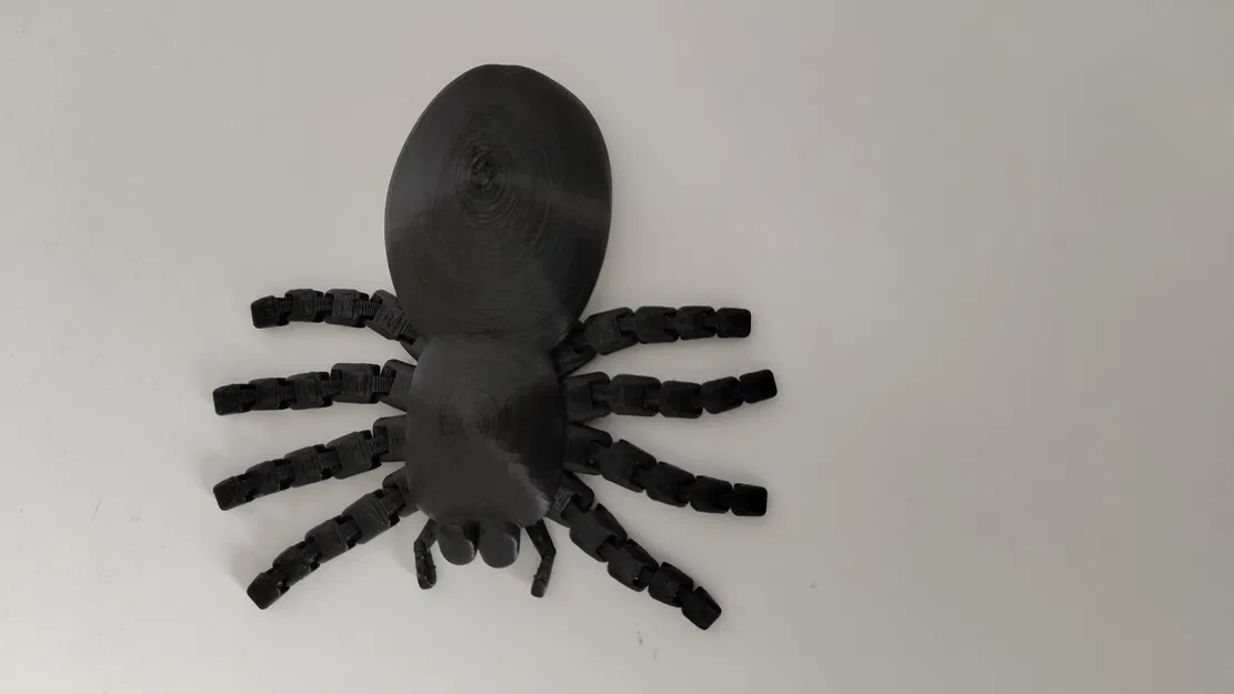 Nhện khớp nối với chân chuyển động linh hoạt - Image 3