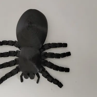 Nhện khớp nối với chân chuyển động linh hoạt