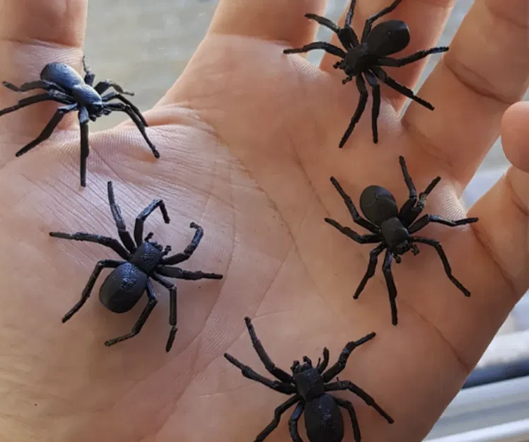 Nhện đen trang trí Halloween với mạng nhện - Image 1