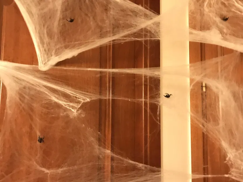 Nhện đen trang trí Halloween với mạng nhện - Image 5