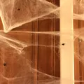 Nhện đen trang trí Halloween với mạng nhện - Thumbnail 5