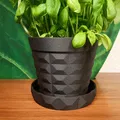 Chậu cây có đĩa lót cho cây húng quế - Thumbnail 1