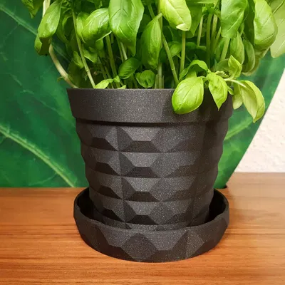 Chậu cây có đĩa lót cho cây húng quế