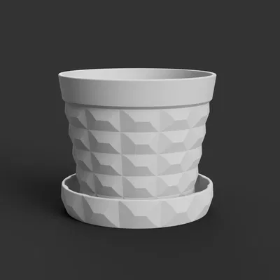 Chậu cây có đĩa lót cho cây húng quế