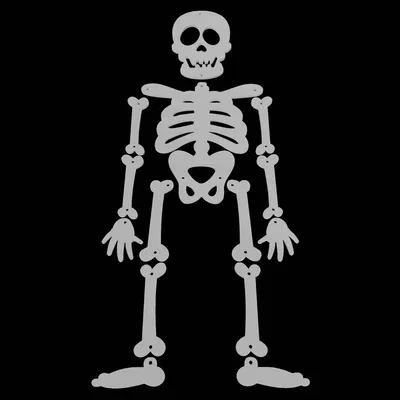 Trang trí bộ xương treo tường độc đáo