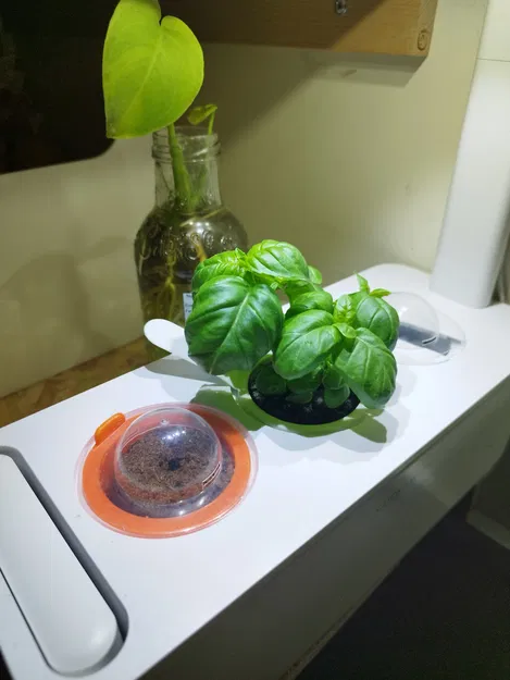 Chậu thay thế cho Vườn Thông Minh Click and Grow - Image 1