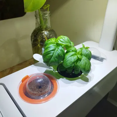 Chậu thay thế cho Vườn Thông Minh Click and Grow