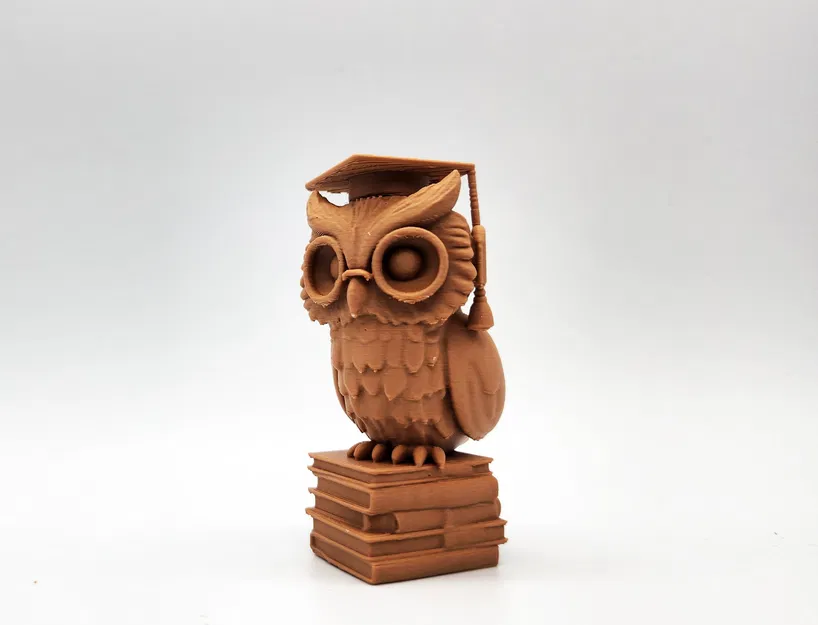 The Graduate - Cú & Rồng - Image 10