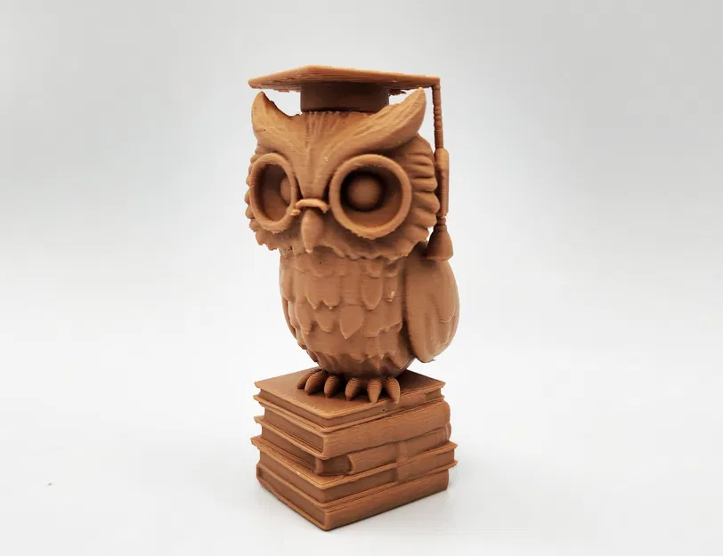 The Graduate - Cú & Rồng - Image 11