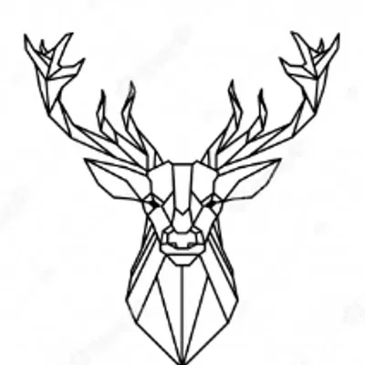 Gạc thấp poly trang trí tường