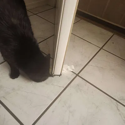 Cơ chế cửa chặn linh hoạt có khả năng tự điều chỉnh lực