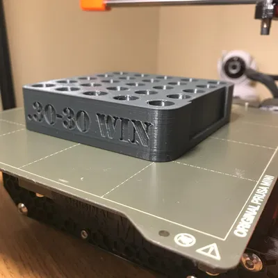 Khối tái nạp đạn .30-30 với sức chứa 25 viên