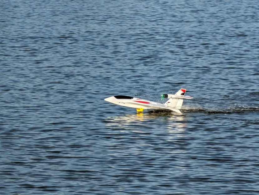 Cánh thủy phi cơ Joyways Dragonfly / HK Skipper - Image 1