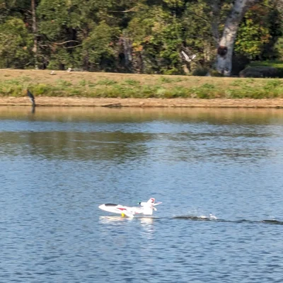 Cánh thủy phi cơ Joyways Dragonfly / HK Skipper