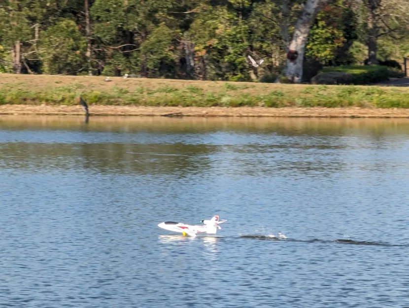Cánh thủy phi cơ Joyways Dragonfly / HK Skipper - Image 6