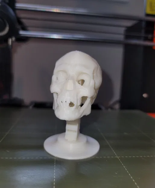 Đầu lâu bập bênh vui nhộn cho dịp Halloween - Image 1