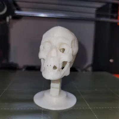 Đầu lâu bập bênh vui nhộn cho dịp Halloween