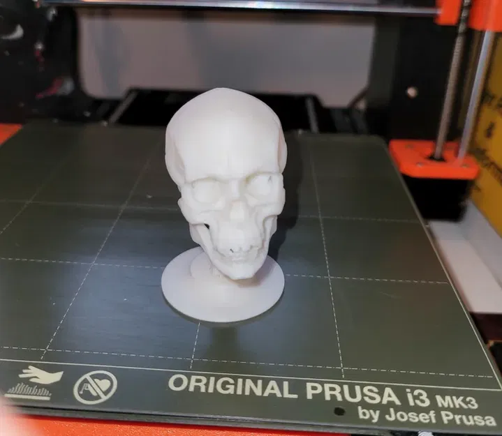 Đầu lâu bập bênh vui nhộn cho dịp Halloween - Image 2