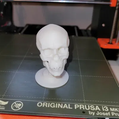 Đầu lâu bập bênh vui nhộn cho dịp Halloween