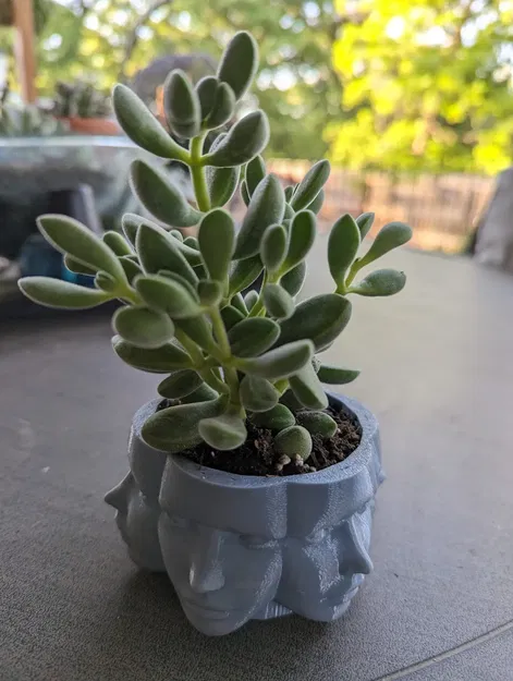 Chậu cây hình mặt người độc đáo cho không gian sống - Image 1