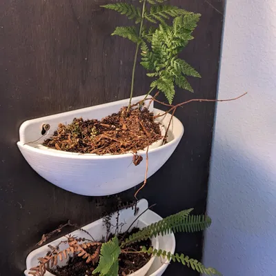 Chậu treo tường có lỗ thoát nước cho cây cảnh